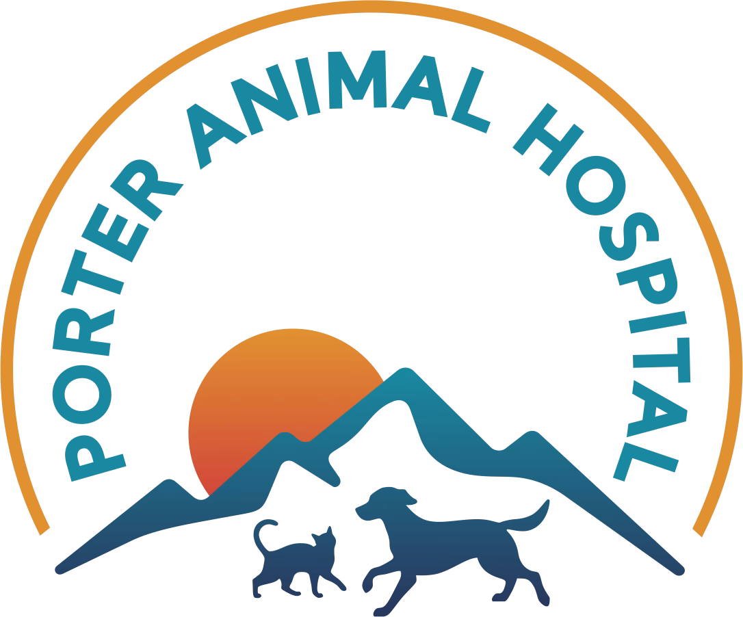 Porter Animal Hospital